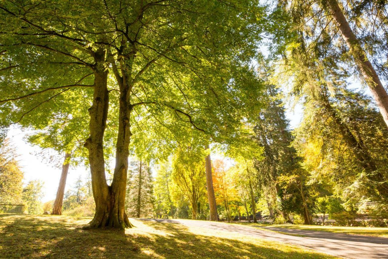 Spieglein Spieglein Daire Bad Wildbad Dış mekan fotoğraf